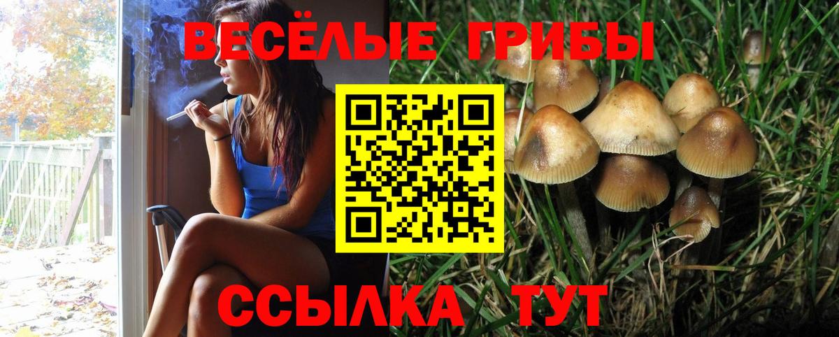 Галлюциногенные грибы GOLDEN TEACHER Кохма