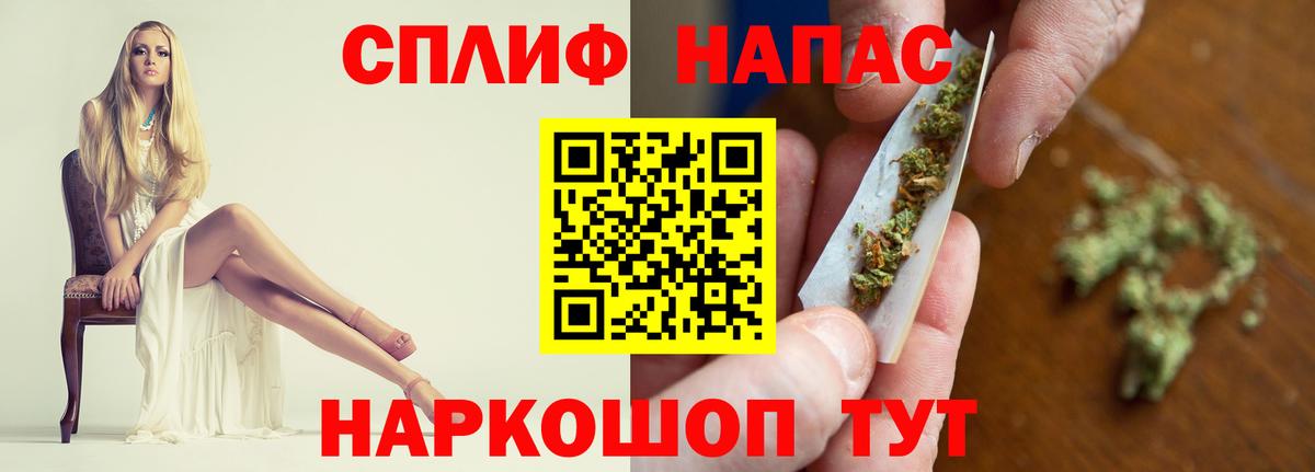 Марихуана сатива Кохма